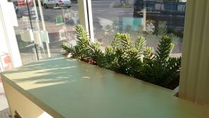 sushibar, catering, bussum