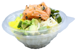 sushibar, catering, bussum